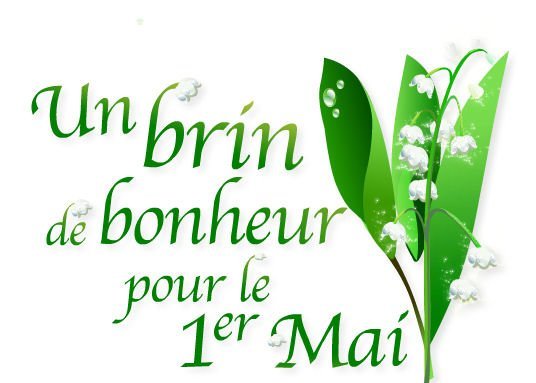 -brin-de-muguet